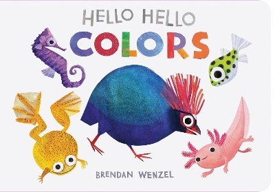 Hello Hello Colors book