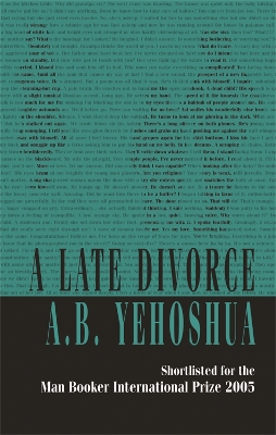 Late Divorce book