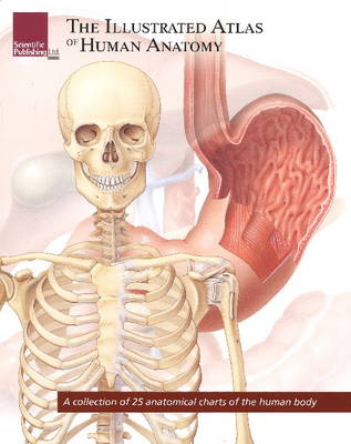 Illustrated Atlas of Human Anatomy book