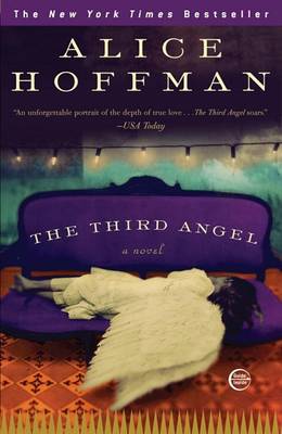 Third Angel book