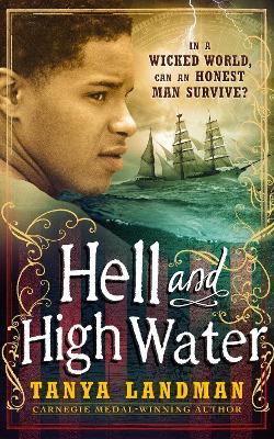 Hell and High Water book