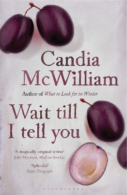 Wait Till I Tell You book