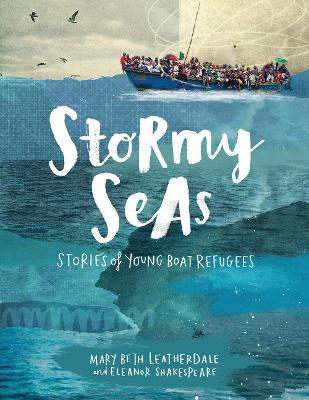 Stormy Seas book