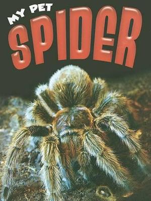Spider book