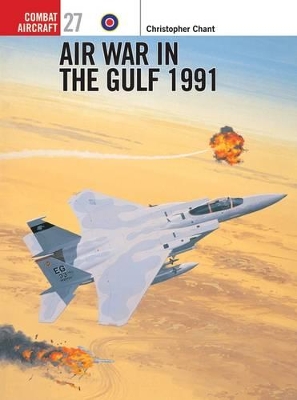Air War in the Gulf 1991 book