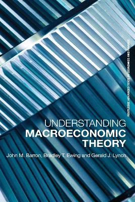 Understanding Macroeconomic Theory book