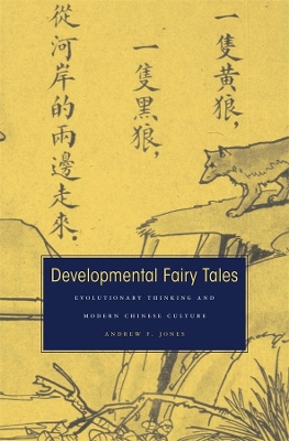 Developmental Fairy Tales book