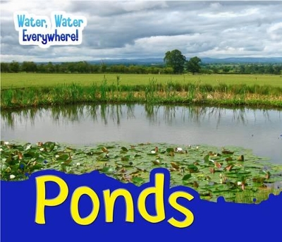 Ponds by Diyan Leake