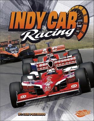 Indy Car Racing book