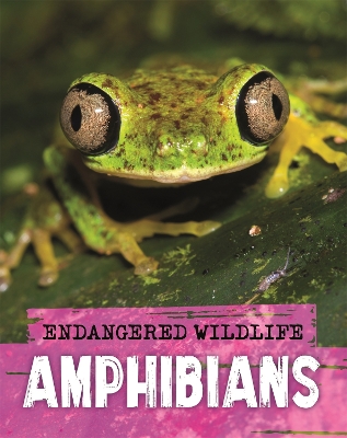 Endangered Wildlife: Rescuing Amphibians by Anita Ganeri