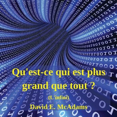 Qu'est-ce qui est plus grand que tout ?: L'infini by David E McAdams