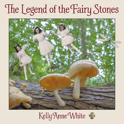 The Legend of the Fairy Stones book