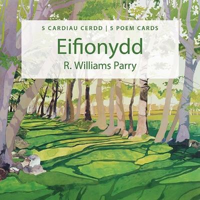 Pecyn Cardiau Cerdd Eifionydd/Eifionydd Poem Cards Pack book