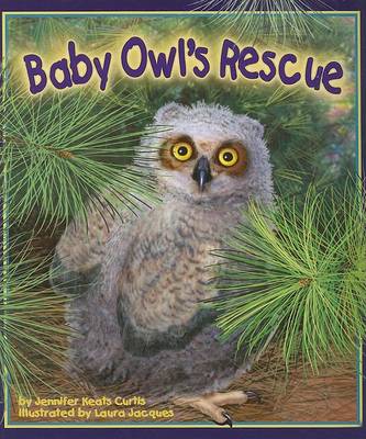 Baby Owl's Rescue by Jennifer Keats Curtis