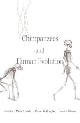 Chimpanzees and Human Evolution book