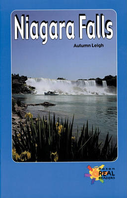 Niagara Falls book