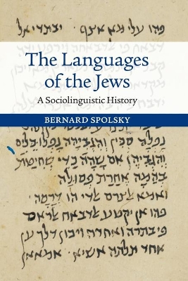 Languages of the Jews book