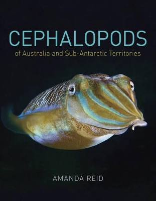 Cephalopods of Australia and Sub-Antarctic Territories book