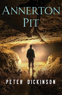 Annerton Pit book