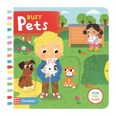 Busy Pets: A Push, Pull, Slide Book book