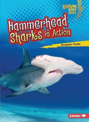 Hammerhead Sharks in Action by Benjamin Tunby