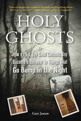 Holy Ghosts book