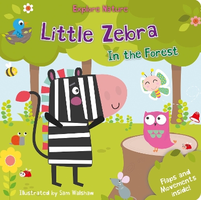 Little Zebra in the Forest book