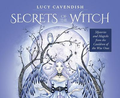 Secrets of the Witch - Mini Oracle Cards: Mysteries and Magicks from the Cauldron of the Wise Ones book
