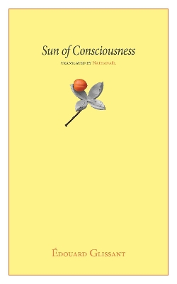 Sun of Consciousness book