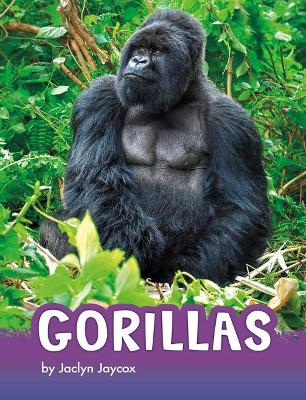 Gorillas book