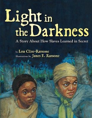 Light in the Darkness book