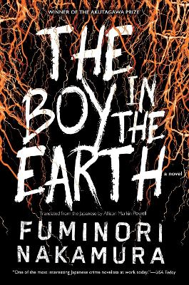 Boy In The Earth book