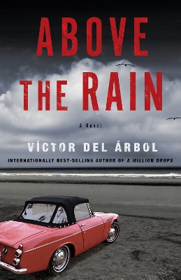 Above the Rain: A Novel book