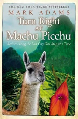 Turn Right At Machu Picchu:Rediscovering the Lost City One Step at a Time book