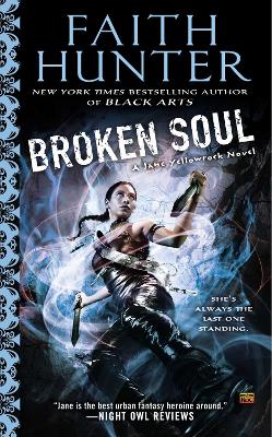 Broken Soul book