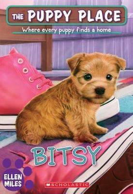 Bitsy book