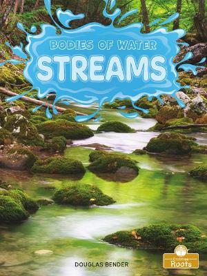 Streams by Douglas Bender