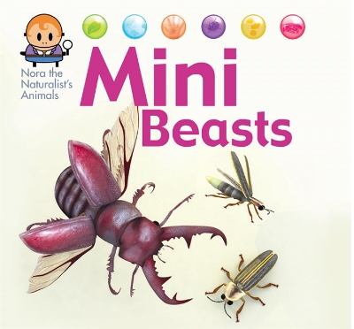 Nora the Naturalist's Animals: Minibeasts book
