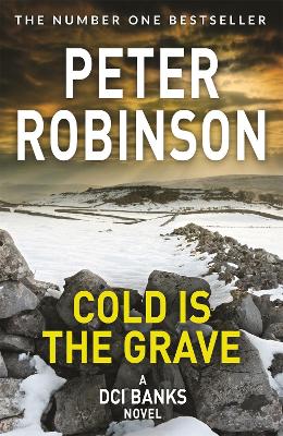Cold is the Grave book