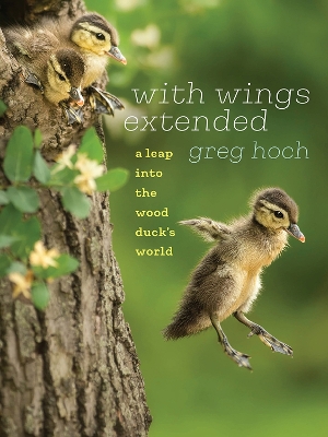 With Wings Extended: A Leap into the Wood Duck's World book