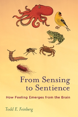 From Sensing to Sentience: How Feeling Emerges from the Brain book