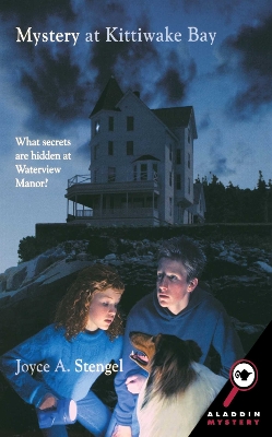 Mystery at Kittiwake Bay book