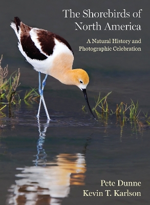 The Shorebirds of North America: A Natural History and Photographic Celebration book