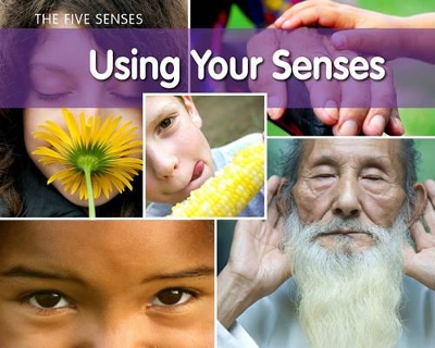 Using Your Senses by Rebecca Rissman
