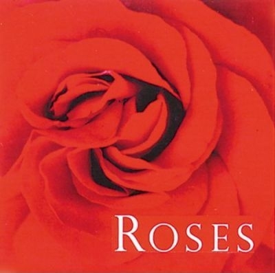 Roses Square Notecards book