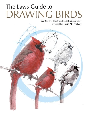 Laws Guide to Drawing Birds book