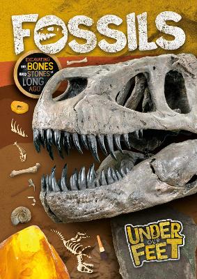 Fossils by Kirsty Holmes