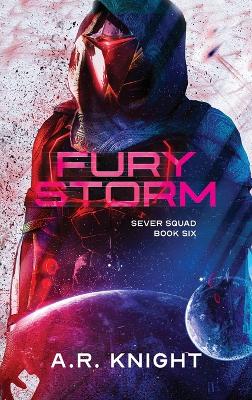 Fury Storm book