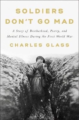 Soldiers Don't Go Mad: A Story of Brotherhood, Poetry, and Mental Illness During the First World War book