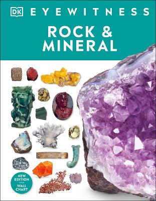 Rock and Mineral book